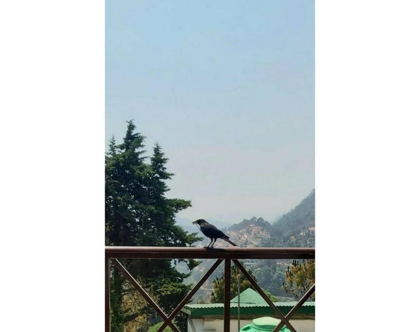 Whistling Thrush Cottage, Bhimtal Nainital Kültér fotó
