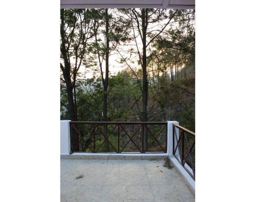 Whistling Thrush Cottage, Bhimtal Nainital Kültér fotó
